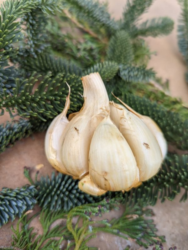 Smoked Garlic Large